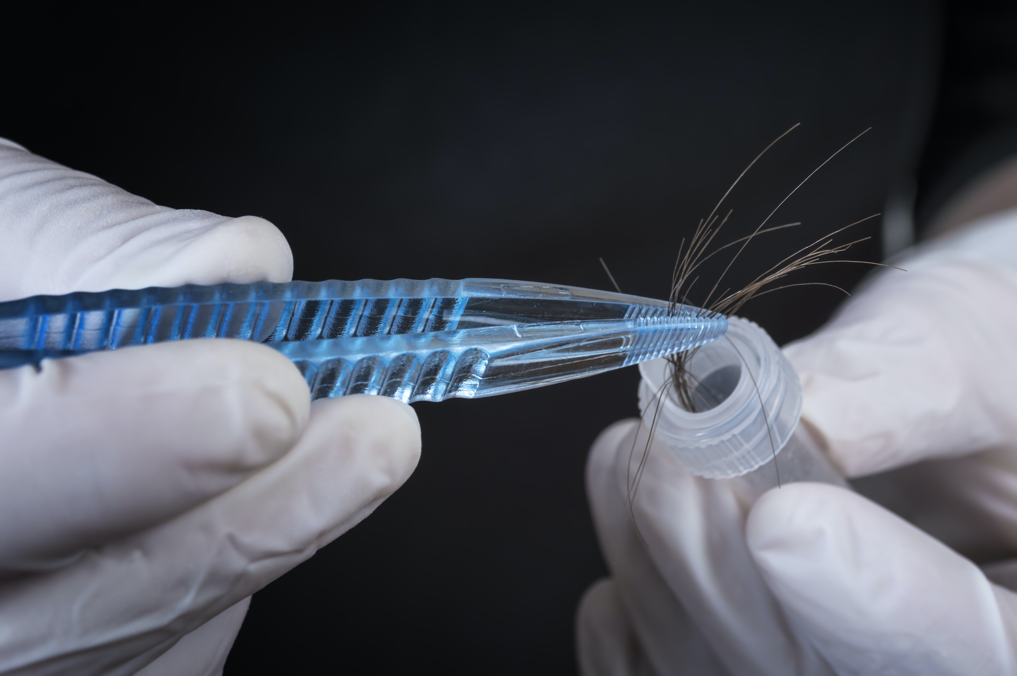Le cheveu, un moyen d’identification précieux dans les enquêtes criminelles. © maticsandra, Adobe Stock